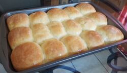 Dinner Rolls